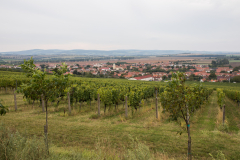 35A3369